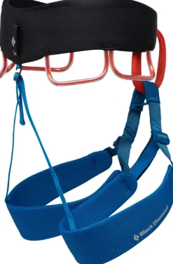 Black Diamond Mens Momentum Harness - Kingfisher Hot