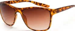 Bloc Eyewear BLOC Cruise 2 Sunglasses - Shiny Tortoiseshell-Brown Graduated Sale
