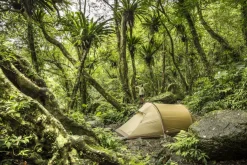 Fjallraven Abisko Lite 3 Tent - Pine Green Fashion