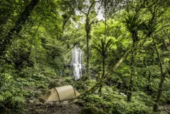 Fjallraven Abisko Lite 3 Tent - Pine Green Fashion