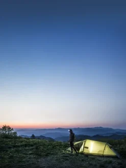 Fjallraven Abisko Shape 2 Tent - Pine Green Online