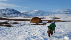 Hilleberg Allak 3 Tent - Green Online