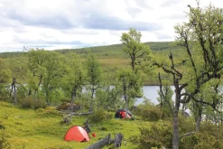 Hilleberg Enan Tent - Sand Online