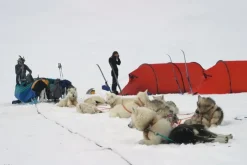 Hilleberg Keron 4 Tent - Green New