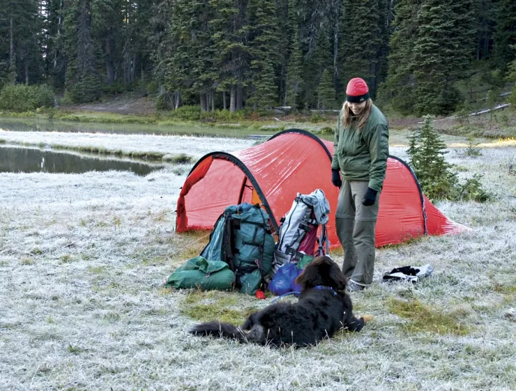 Hilleberg Nallo 4 GT Tent - Sand Sale