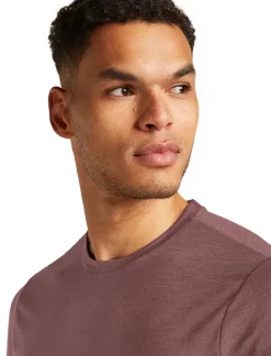 Icebreaker Mens Merino 150 Tech Lite III SS Tee - Carob Online