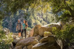 Kuhl Mens Renegade Shorts - 10in - Koal Sale