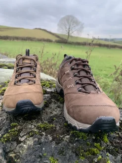 Meindl Mens Philadelphia GTX Shoes - Brown New