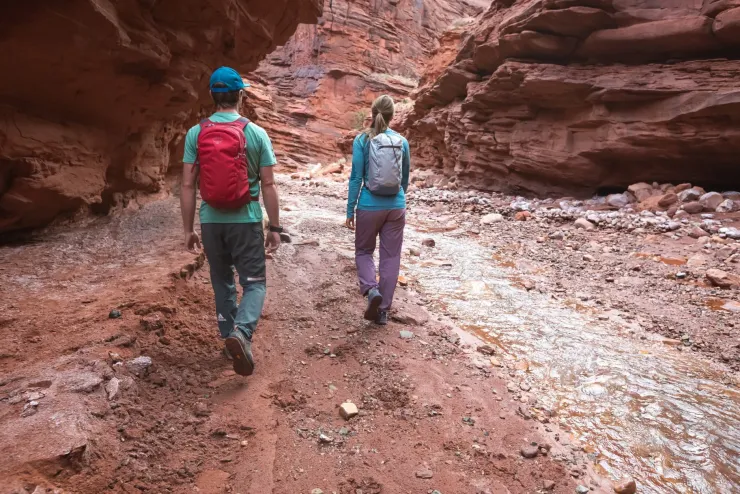 Osprey Daylite Rucksack - Black Hot