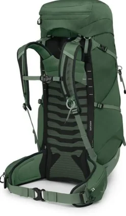 Osprey Talon 44 Rucksack - Green Canopy-Pine Leaf Best