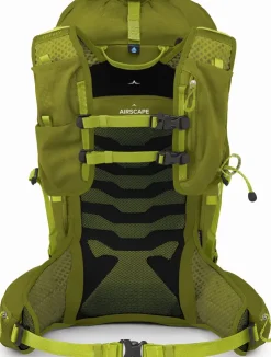 Osprey Talon Velocity 30 Rucksack - Matcha Green-Lemongrass Sale