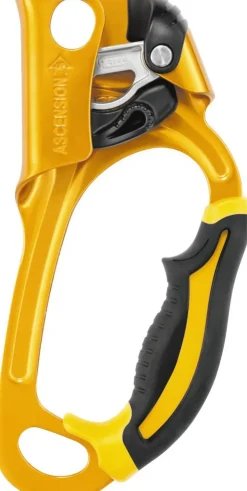 Petzl Ascension Discount