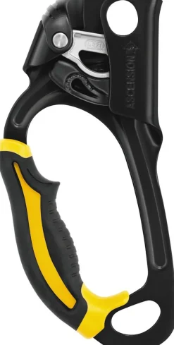 Petzl Ascension Discount