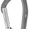 Petzl Djinn Straight Gate Carabiner - Gray Discount