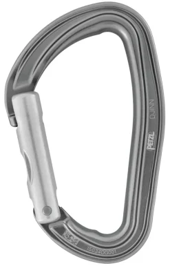 Petzl Djinn Straight Gate Carabiner - Gray Discount