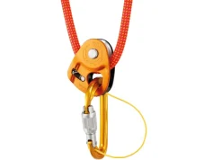 Petzl Micro Traxion Pulley Online