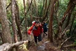 Rab Mens Firewall Mountain Jacket - Dark Horizon Sale