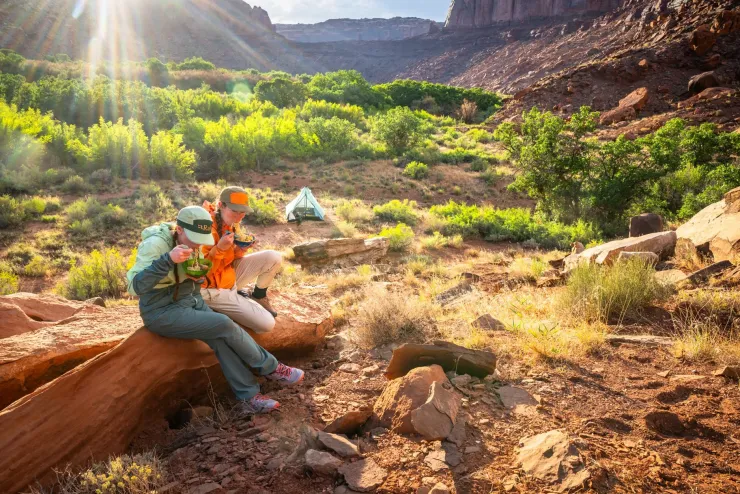 Rab Womens Harpur Pants - Sage Outlet