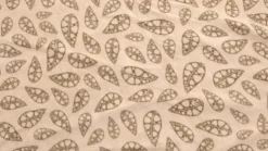 Robens Double Dreamer 5 Fleece Carpet New