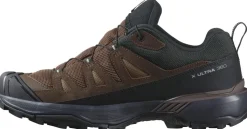 Salomon Mens X Ultra 360 LTR GTX Shoes - Dark Earth-Delicioso-Sharkskin Clearance