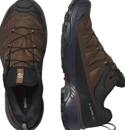 Salomon Mens X Ultra 360 LTR GTX Shoes - Dark Earth-Delicioso-Sharkskin Clearance