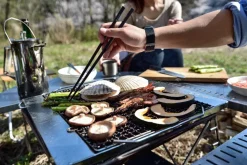 Snowpeak Snow Peak Fire Ring Table Sale