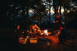 Snowpeak Snow Peak Pack and Carry Fireplace - L Online