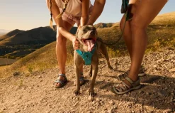 Teva Womens Tirra Sandals - Blue Multi Hot