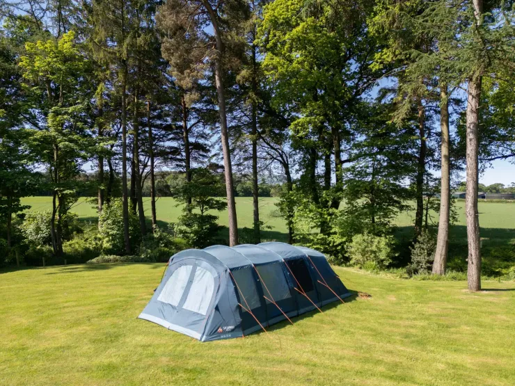 Vango Savannah 600XL Tent Package Outlet