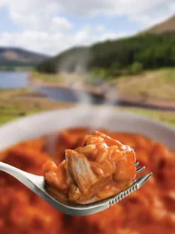 Wayfayrer Chicken Tikka and Rice Outlet