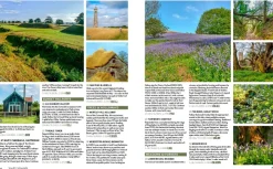 Wildthings Wild Guide South West England 2 Hot