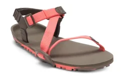 Xero Shoes Womens Z-Trail EV Sandals - Sunset Coral-Morel Outlet