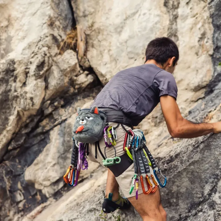 YY Vertical Chalk Bag - Grey Cat Best