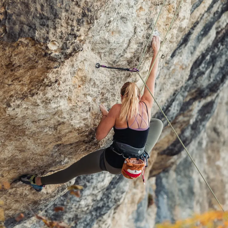 YY Vertical Chalk Bag - Shiba Inu Best