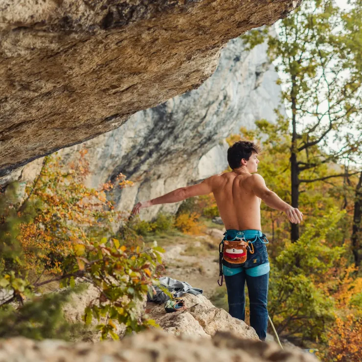 YY Vertical Chalk Bag - Shiba Inu Best