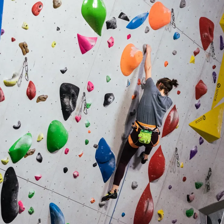 YY Vertical Chalk Bag - T-Rex Discount