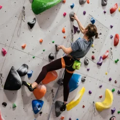 YY Vertical Chalk Bag - T-Rex Discount