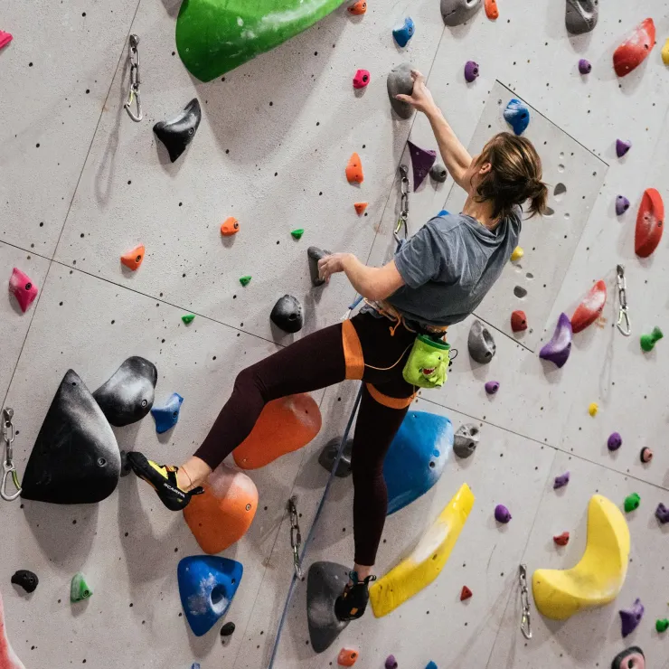 YY Vertical Chalk Bag - T-Rex Discount