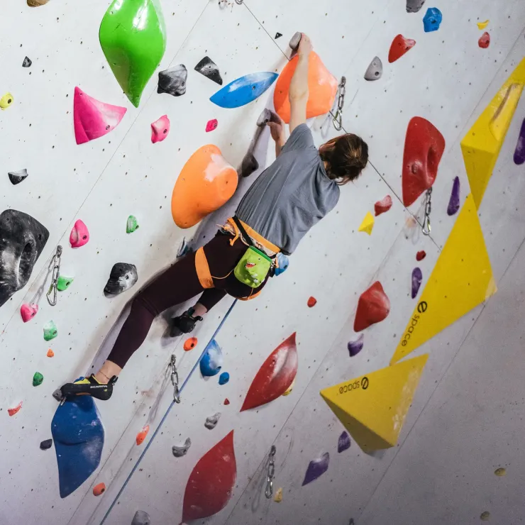 YY Vertical Chalk Bag - T-Rex Discount